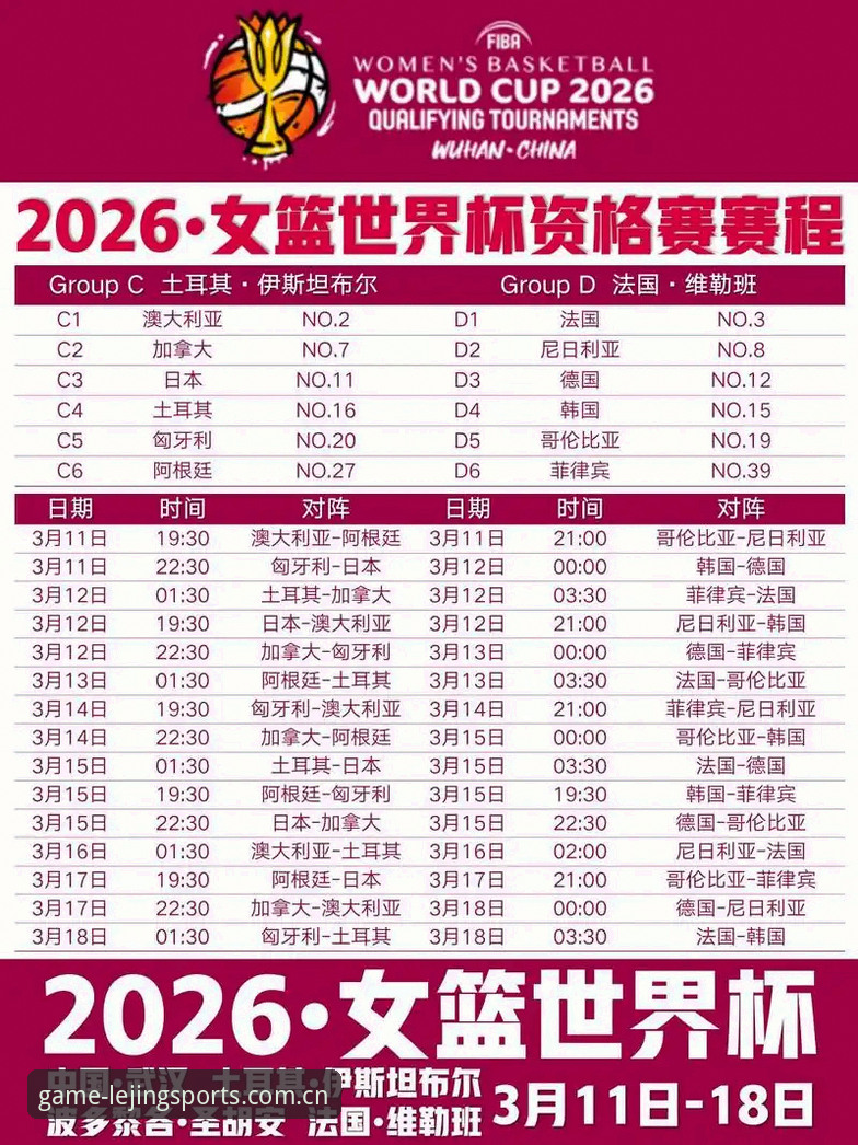 世界杯观赛签证危机：乐竞体育平台用户完整观赛指南